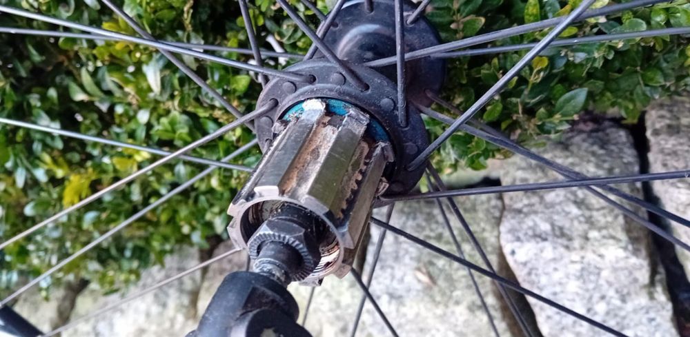 Dwa koła Campagnolo