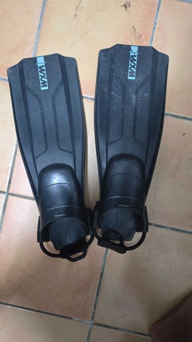 Pes de pato, barbatanas