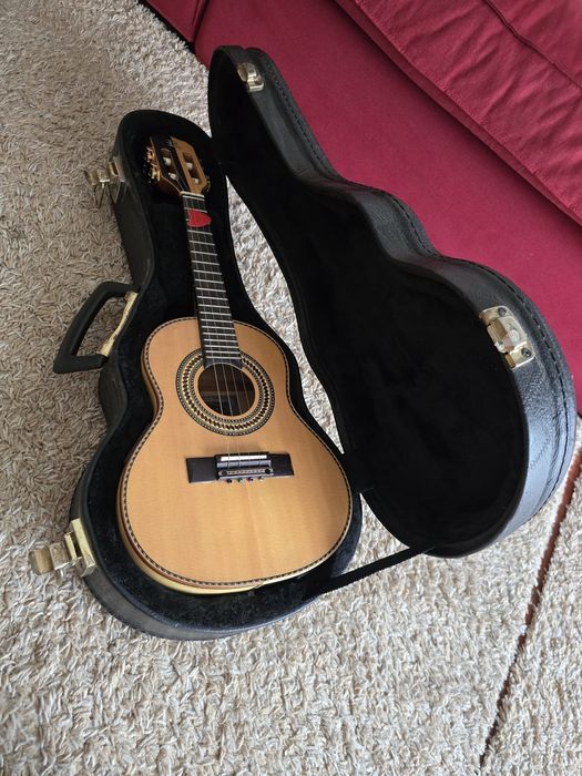 Cavaquinho Rozini Eletrico