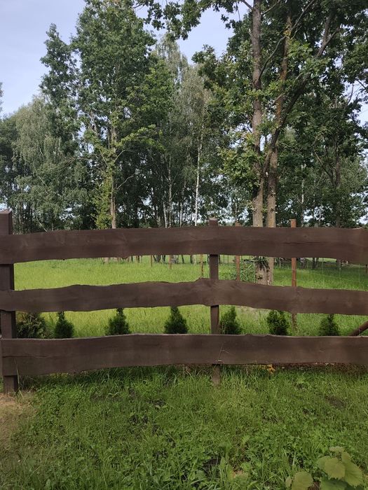 Działka, zagajnik na Mazurach