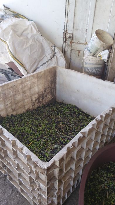 Azeite - caseiro - Extra Virgem (100% Biológico)