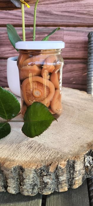 Grzyby marynowane rydze prawdziwki