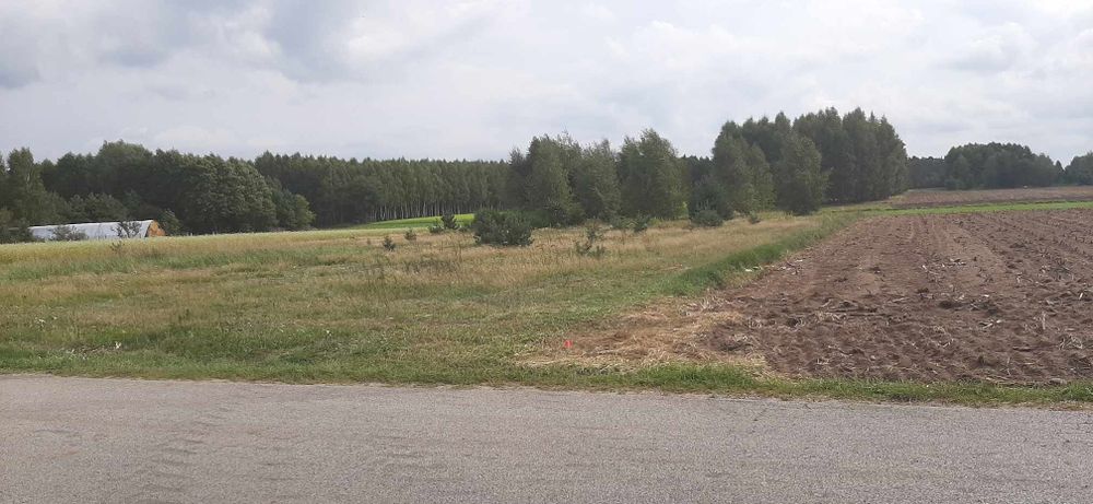 Działka budowlana Stanisławów Nowy - Widok 3