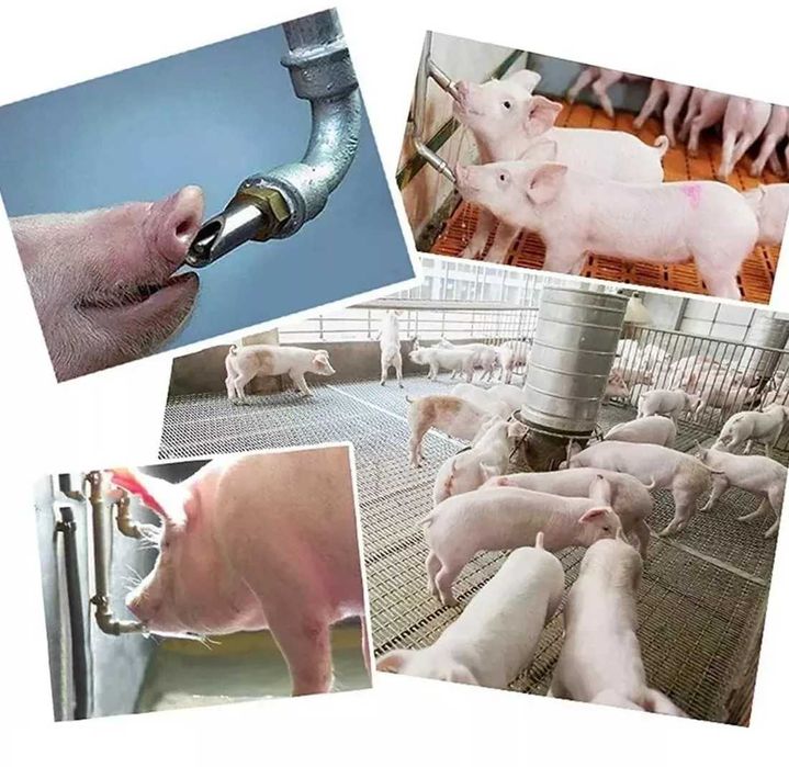 Poidło smoczkowe dla tuczników, stal, gruby trzpień, Kerbl