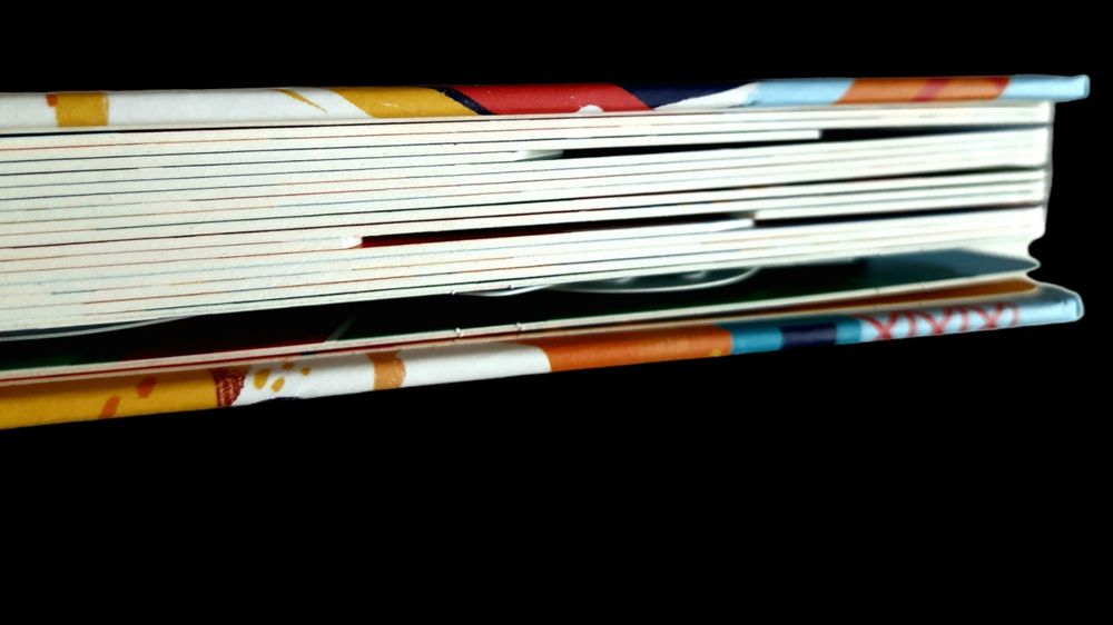 Zoom Dinosaur Adventure czytanka po angielsku dinozaury