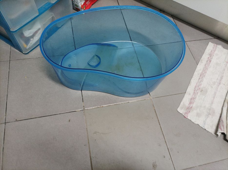 Vende-se tartarugueira grande