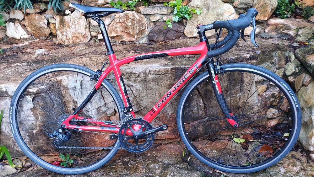 Fondriest Tree carbono oportunidade t52