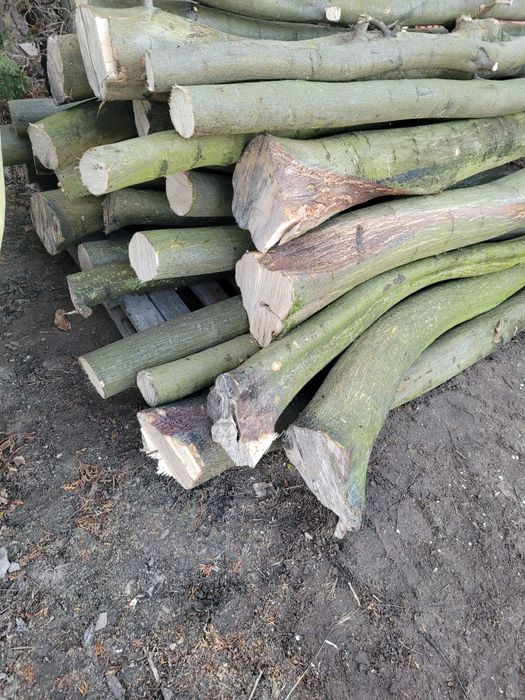 Drzewo opałowe, kominkowe liściaste Dąb, Grab