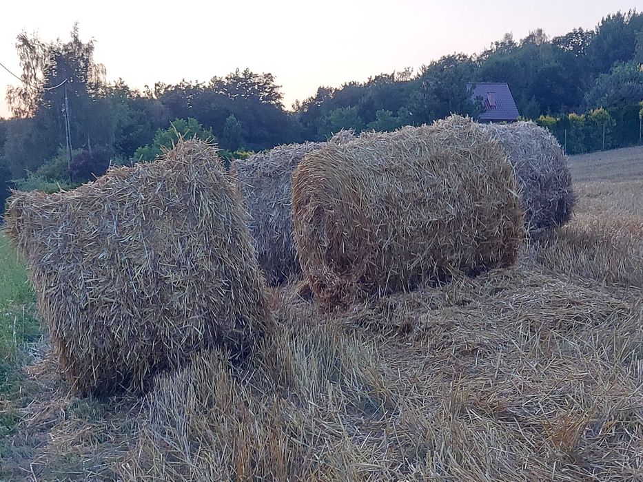 Bale słomy okrągły