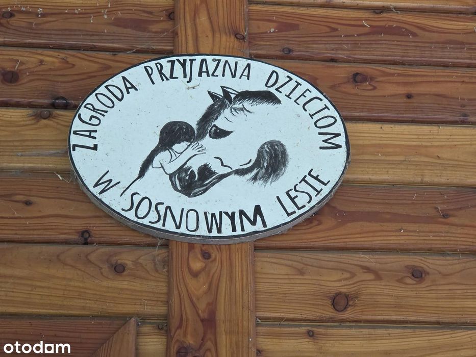 Zdjęcie 7