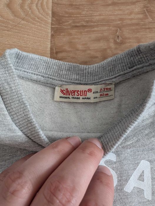 Світшот реглан кофта на флісі для хлопчика Silversun  Некст,  92 см
