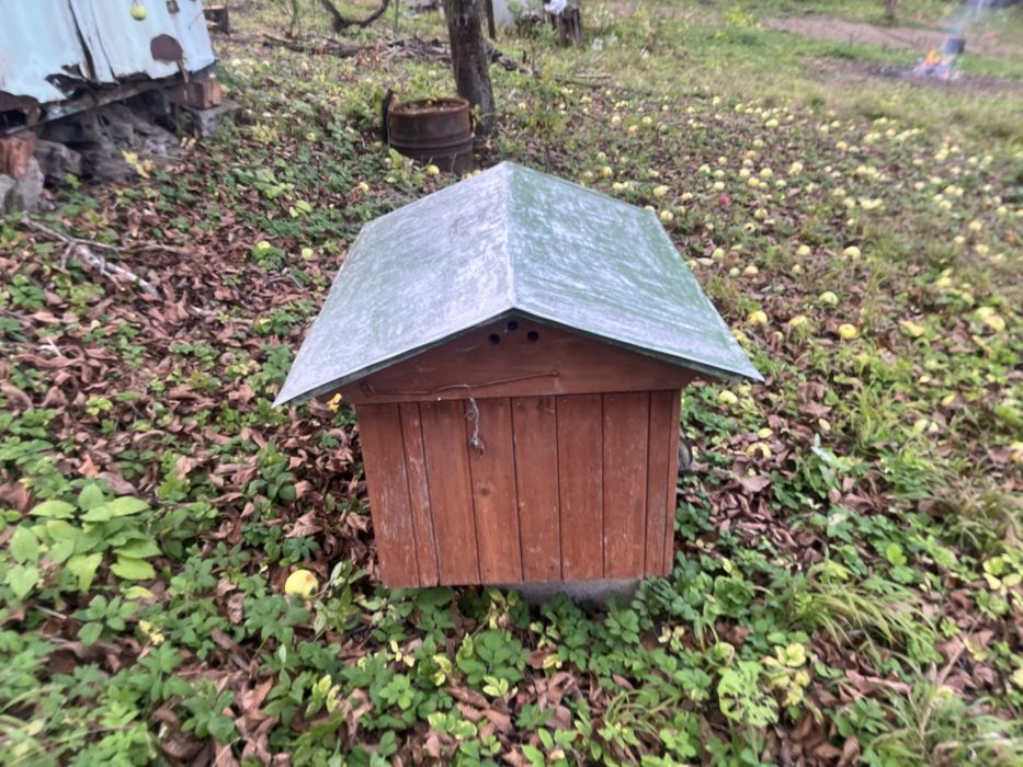 Вулик дадан на 20 рамок