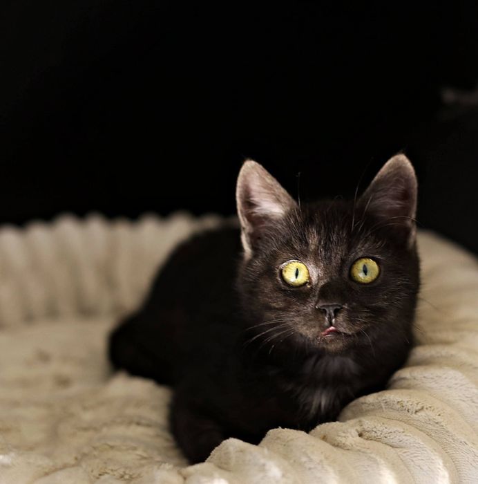 Hej Człowiek- zajrzyj tutaj.