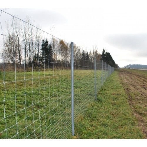 Сітка шарнірна 1.6/2 мм 125/13/15 50м