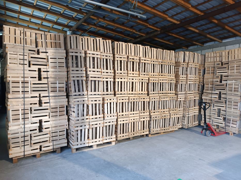 Sprzedam łuszczkę, skrzynkę drewnianą brokuł,kalafior, sałatę