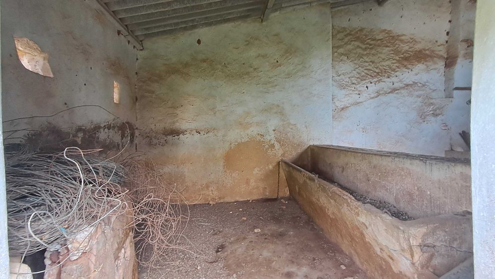 Quintinha com casa em ruínas para reconstrução – Quelfes, Olhão
