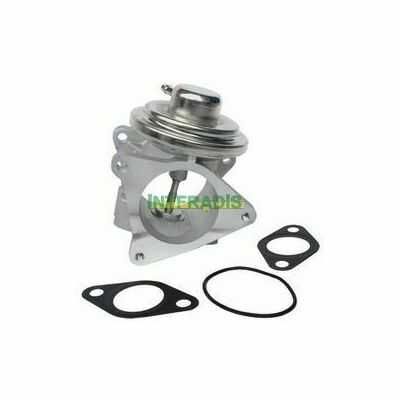 Zawór Egr Intfradis