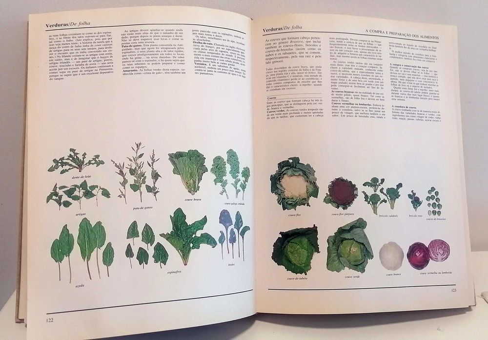 Livro - O Grande Livro Ilustrado Da Culinária