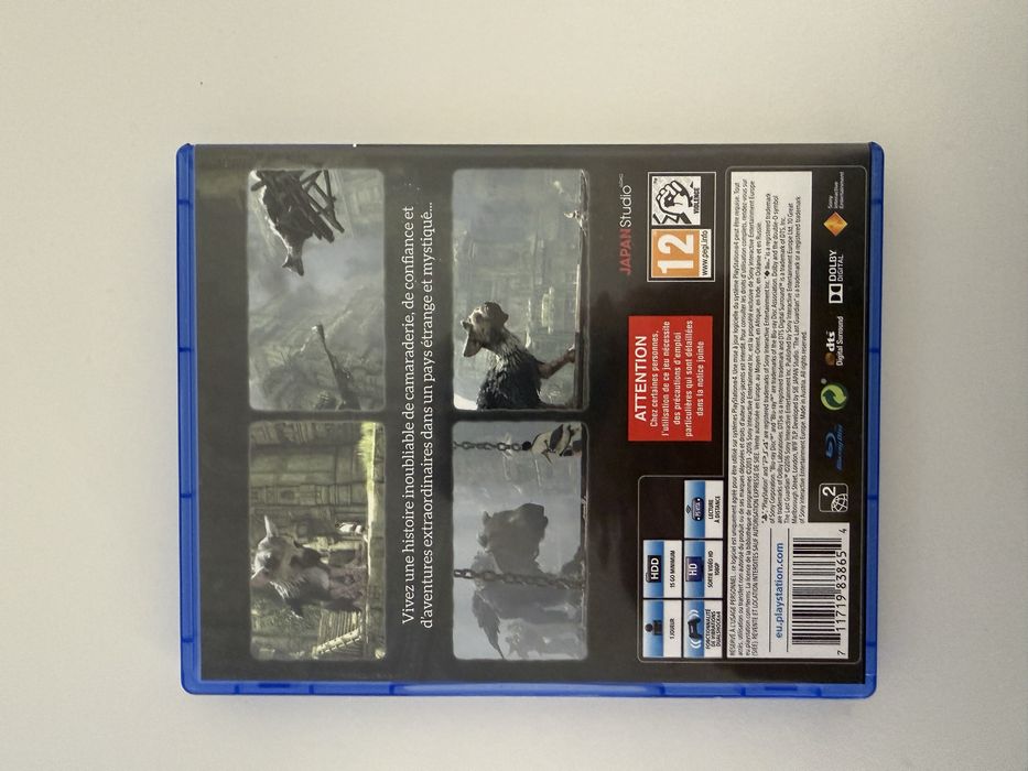 The Last Guardian