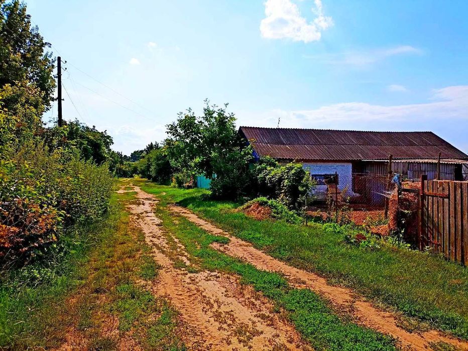 TO Хата у стародавньому селі Виблі