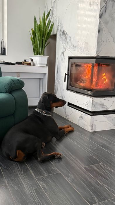 Віддам у добрі руки