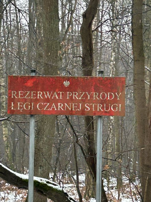 Urocza Chatka z Jacuzzi i  Sauną  Pod Warszawą