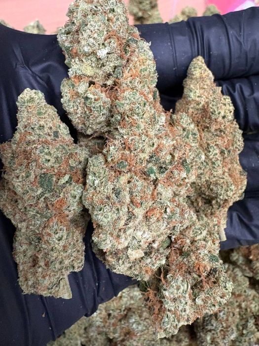 1kg susz CBD CannaBubble/THC< 0.3%