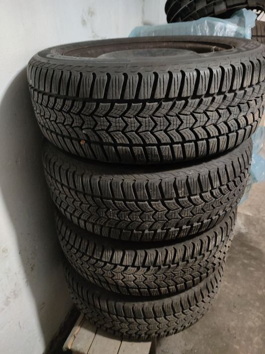 Koła zimowe Dębica Frigo Ford Focus Mk2 205/55 r16
