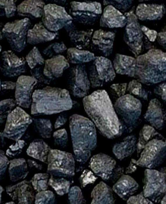 Węgiel NIESORT Kostka z Orzechem oraz EKO MIAŁ