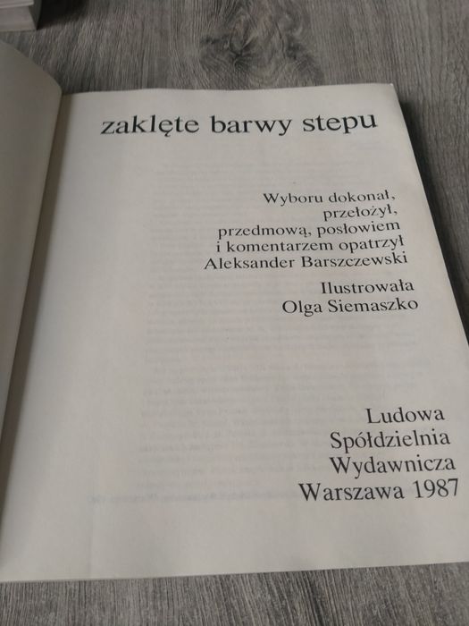 Zaklęte barwy stepu Aleksander Braszczewski
