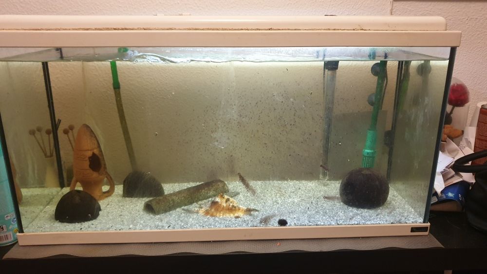 aquatlantis aquadream 80