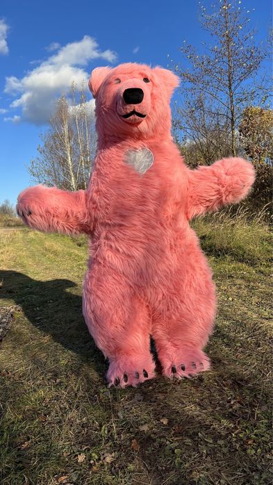 Рожевий ведмедик Коломия.Білий ведмідь.Аніматори