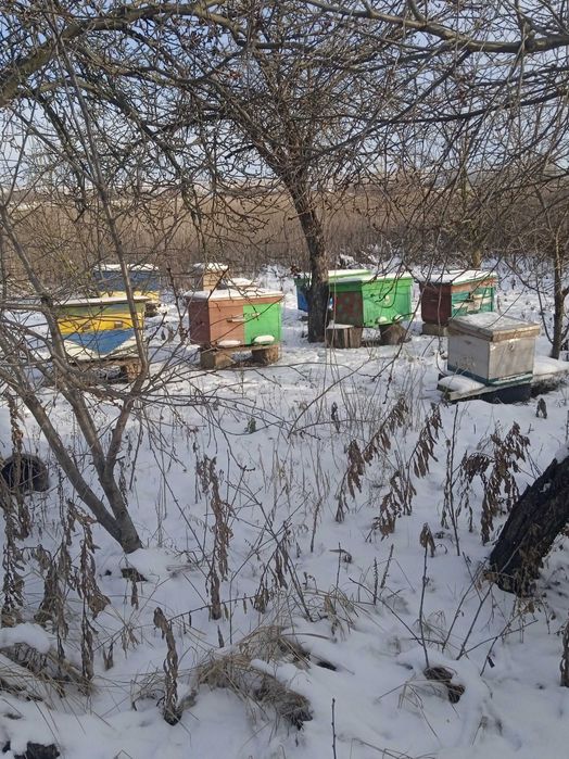 Продам улья для пчел лежаки