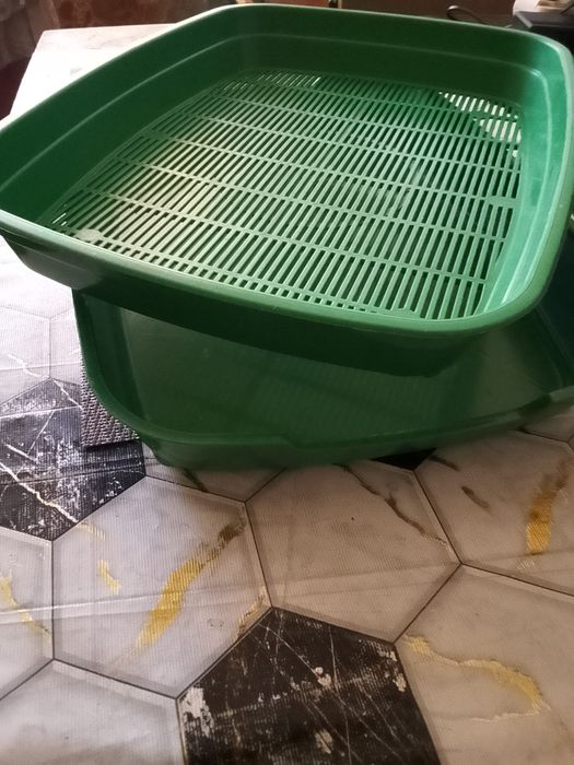 Лоток для кота/кошки