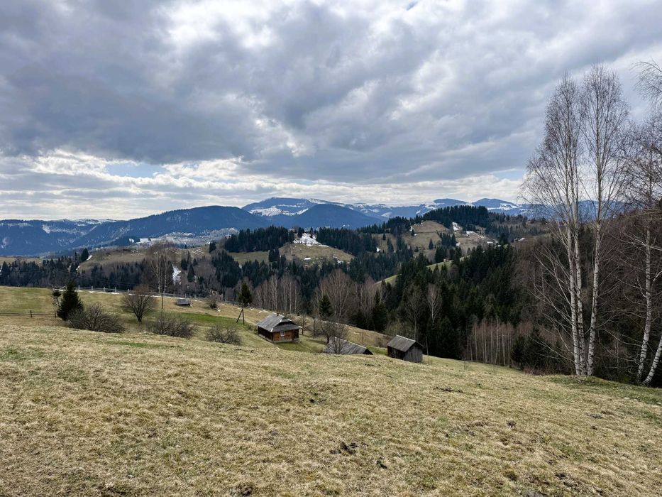 Продаж будинку у горах, с.Довгополе, 85 сот., БЕЗ КОМІСІЇ