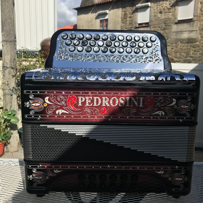 Vendo concertina da Famosa marca Pedrosini