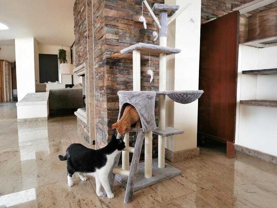 Drapak dla Kota Nowy 5 Poziomów Stabilny Wysoki z Domkiem Legowiskiem