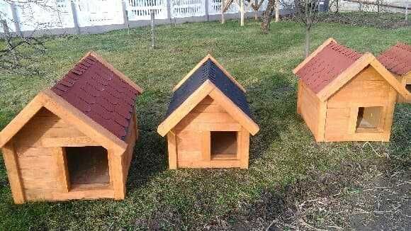 Kurnik/Budy solidne /gołębnik/Gierzwałd/Ostróda /Działdowo!