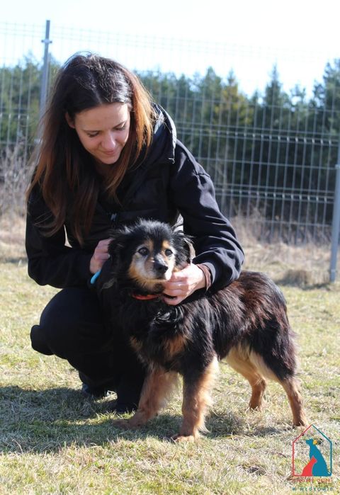 Józek 103/26 - SZUKA DOMU!