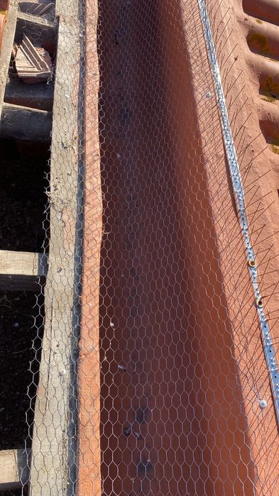 Limpeza de algerozes