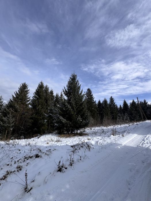 Продам ділянку в Карпатах з доїздом легковим авто с. Ільці