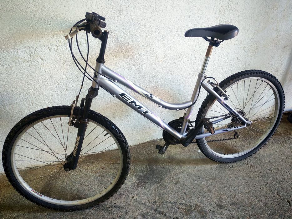 Bicicleta adulto
