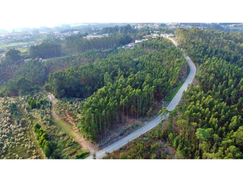 Terreno industrial em Vila Nova de Gaia — Sandim, Olival, Lever E Crestuma, Porto