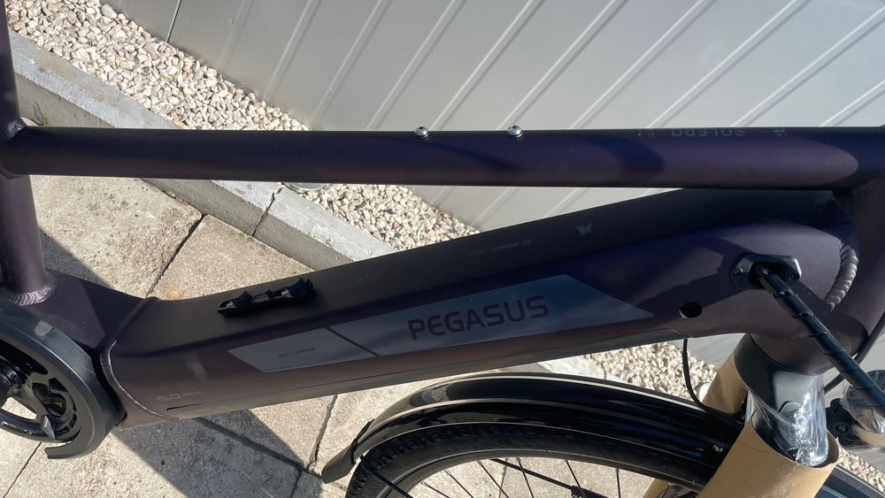 Rower elektryczny Pegasus