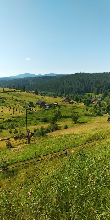 Перевезення трансфер Івано Франківськ Осмолода Мислівка