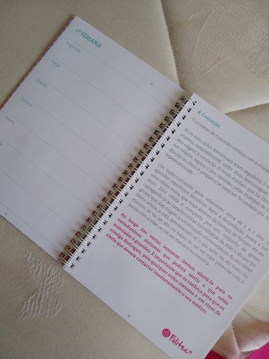 Diário da Grávida.