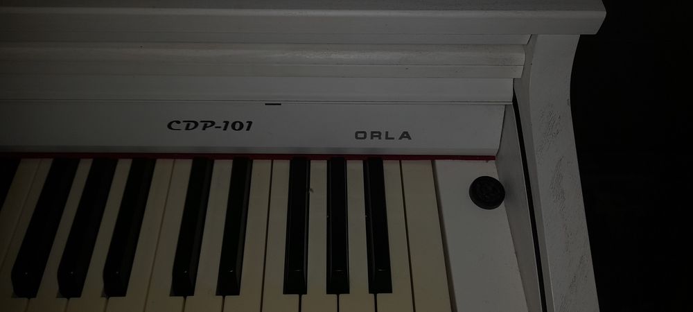 Pianino CDP-101 Orla białe