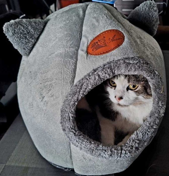 Domek dla KOTA Budka, Legowisko Pluszowe, Ciepłe, Wygodne, Bezpieczne