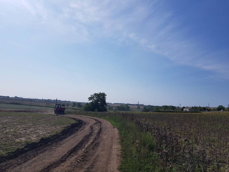 Продам участок в Одессе Грибовка 100 соток за 70 у.е/сотка