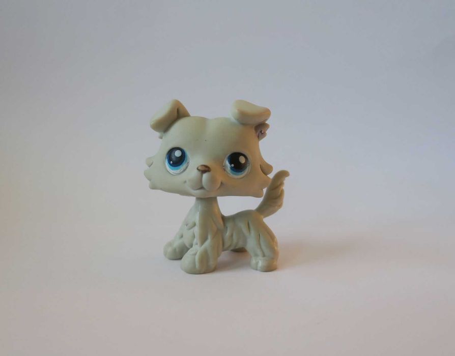 Piesek collie littlest pet shop